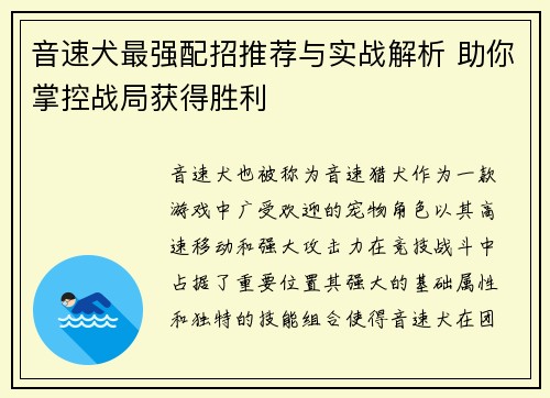 音速犬最强配招推荐与实战解析 助你掌控战局获得胜利